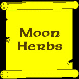 Moonh.JPG (17614 bytes)
